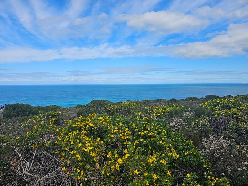 0 Bedroom Property for Sale in Village On Sea Western Cape